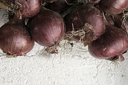 Hanging onions