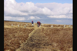 A stone circle on the moor