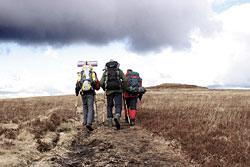 Three boys hiking up a hill