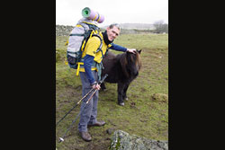 A man patting a small pony