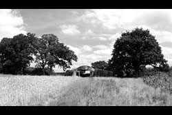 An old barn in a field